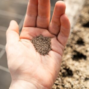 silver glittered heart on persons hand