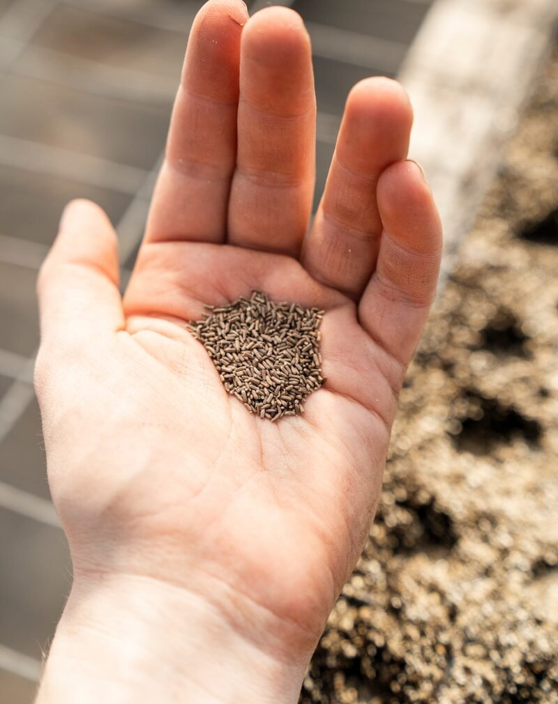 silver glittered heart on persons hand